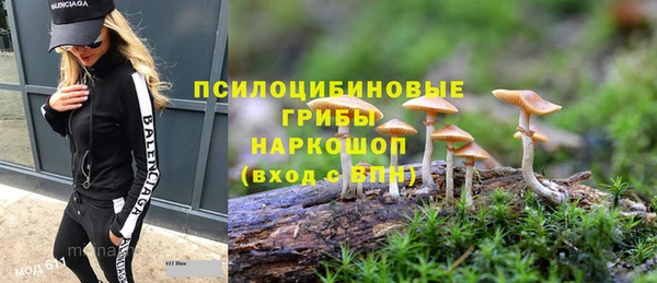 spice Алзамай