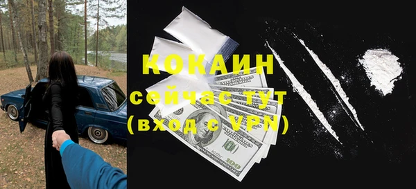 кокс Алексин