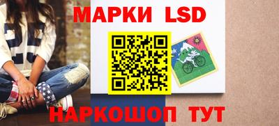 ECSTASY Камышлов