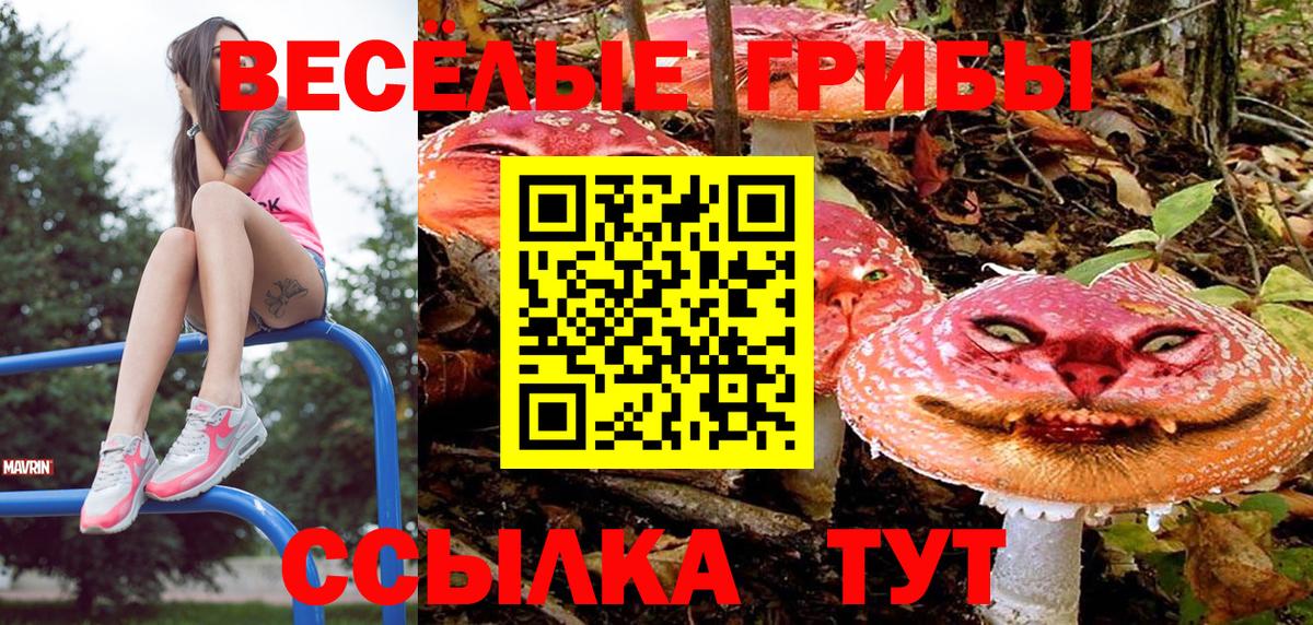 Псилоцибиновые грибы Cubensis  Псилоцибиновые грибы ЛСД  Вход с VPN  Мытищи 