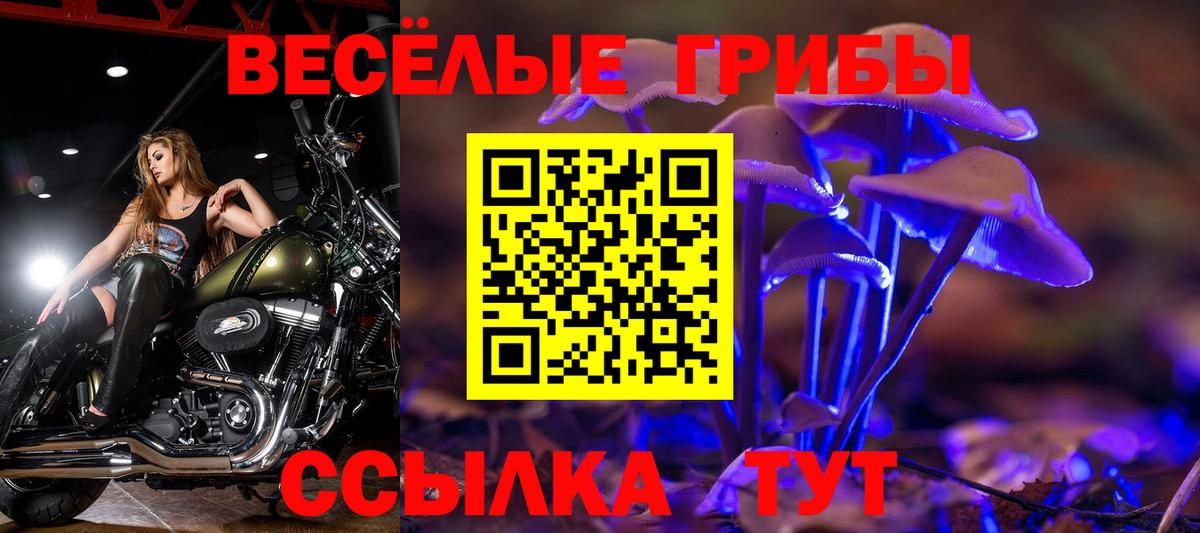 Псилоцибиновые грибы MAGIC MUSHROOMS Мытищи