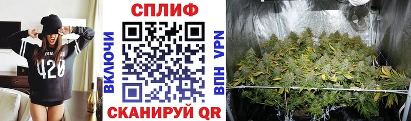 Марихуана индика  Мытищи 